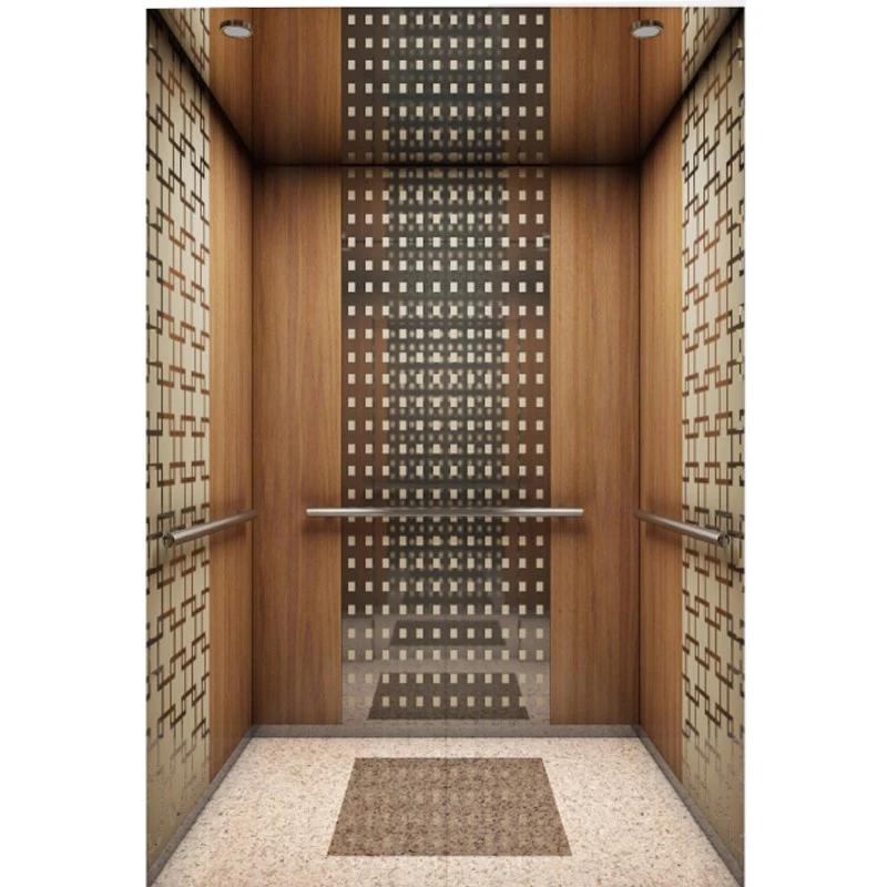 Inside House Elevator